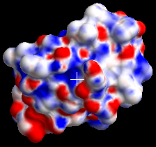 apbs_tool_elepot1.png