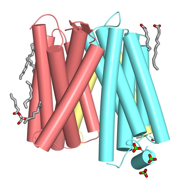 GkPOT_hsm5.png GkPOT_hsm5.png